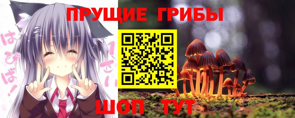 Галлюциногенные грибы прущие грибы  Псилоцибиновые грибы GOLDEN TEACHER  Вход с VPN  Ишим 